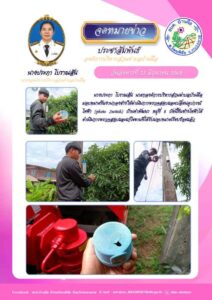 116006-212x300 องค์การบริหารส่วนตำบลบ้านผือ 2024